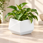 Hexagonal Origami Planter in Cotton White
