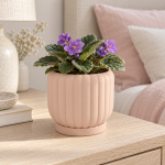 Ceramic-Style Ribbed Planter & Tray in Cherry Pink