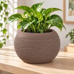 Fuzzy Bowl Planter in Matte Brown