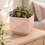 Modern Square Plant Pot in Cherry Pink