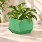 Hexagonal Origami Planter in Forest Green