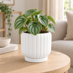 Ceramic-Style Ribbed Planter & Tray in Cotton White