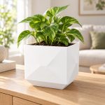 Modern Square Plant Pot in Cotton White