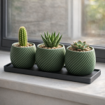 Spiral Planter Trio with Black Tray in Green