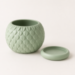 Scale Texture Planter & Tray