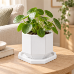 Octagonal Planter & Tray in Cotton White