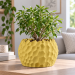 Ripplecrest Planter & Tray in Dawn Yellow