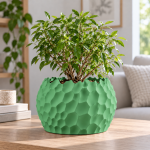 Ripplecrest Planter & Tray in Forest Green
