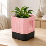 Aura Planter with Black Base in Cherry Pink