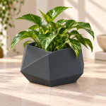 Hexagonal Origami Planter in Matte Black