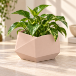 Hexagonal Origami Planter in Cherry Pink