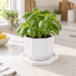 Octagonal Planter & Tray in Cotton White