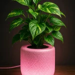 Pink Illuminated Planter Lamp