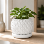 Scale Texture Planter & Tray in Cotton White
