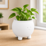 Happy Cauldron Planter in Cotton White