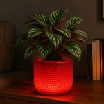 Red Illuminated Planter Lamp