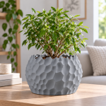 Ripplecrest Planter & Tray in Rock Ash Grey