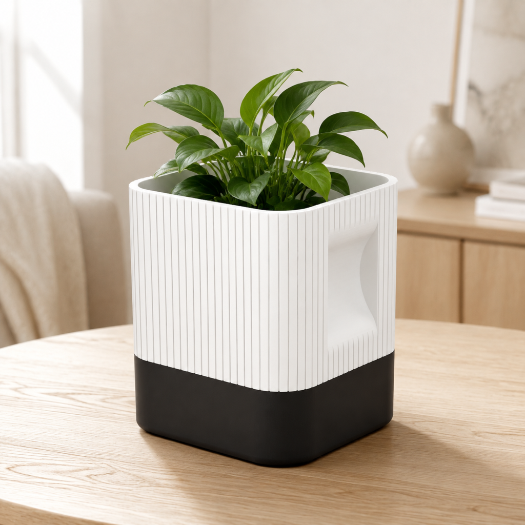 Aura Planter with Black Base