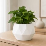 Ten-Sided Geometric Planter in White