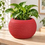 Fuzzy Bowl Planter in Lava Red