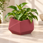 Hexagonal Origami Planter in Deep Red