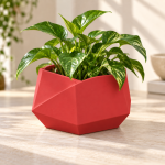 Hexagonal Origami Planter in Lava Red
